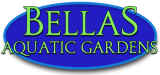 Bellas Aquatic Gardens | Miami's Premier Pond Contractor